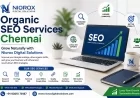 Organic SEO Services Chennai