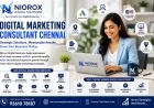 Digital Marketing Consultant Chennai